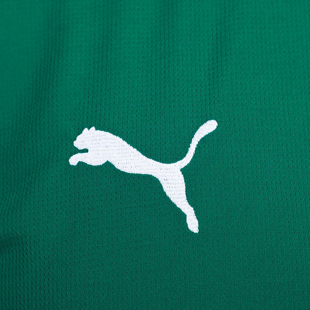 Camisa Palmeiras 1 2026 Masculina Dry Fit
