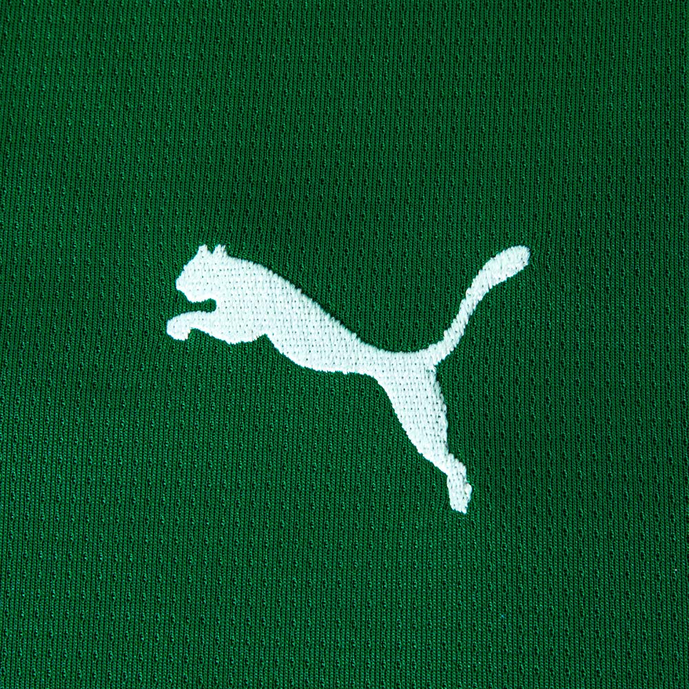 Camisa Palmeiras 1 2026 Infantil Dry Fit