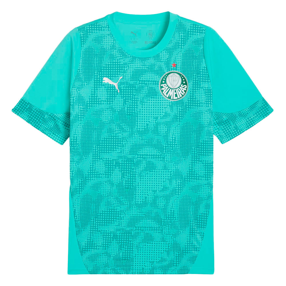 Camisa Palmeiras Treino 2026 Masculina Dry Fit