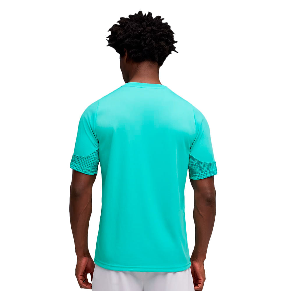 Camisa Palmeiras Treino 2026 Masculina Dry Fit