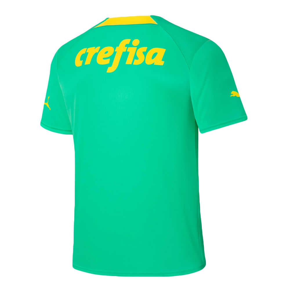 Camisa Palmeiras 3 2022 Masculina Dry Fit