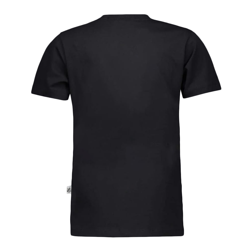 Camiseta Santos Nascer, Viver e No Santos Morrer Infantil Casual