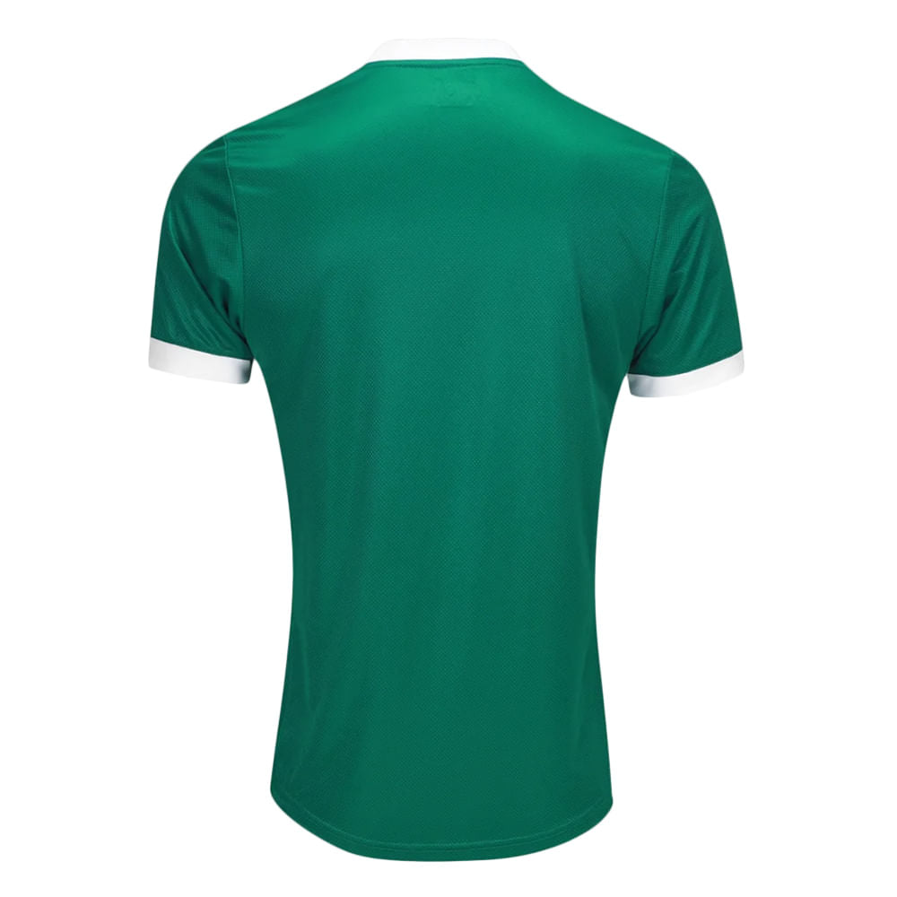 Camisa Palmeiras 1 2025 Masculina Dry Fit