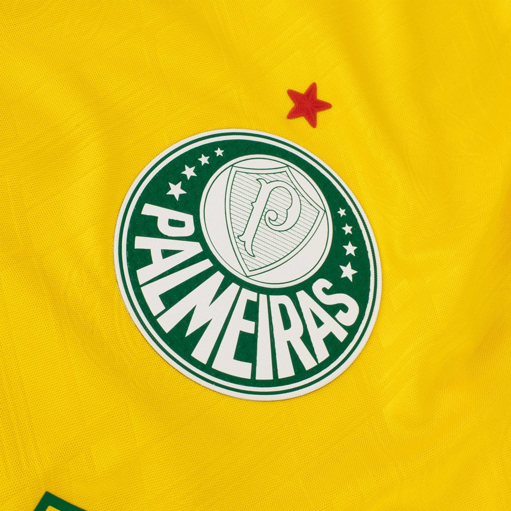 Camisa Palmeiras 3 2025 Masculina Dry Fit