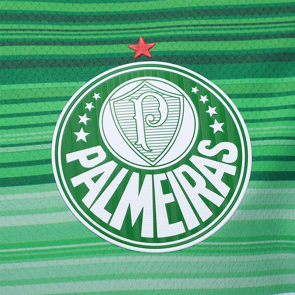 Camiseta Palmeiras Power Iii Casual