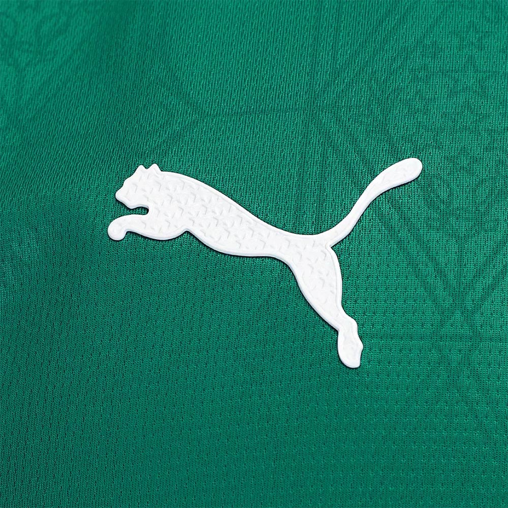 Camisa Palmeiras 1 2025 Masculina Dry Fit