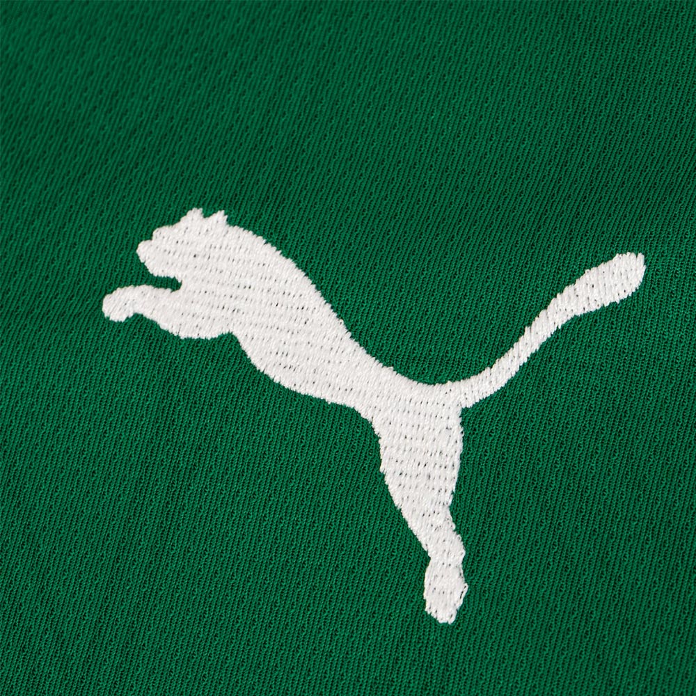 Camisa Palmeiras 1 2025 Masculina Dry Fit