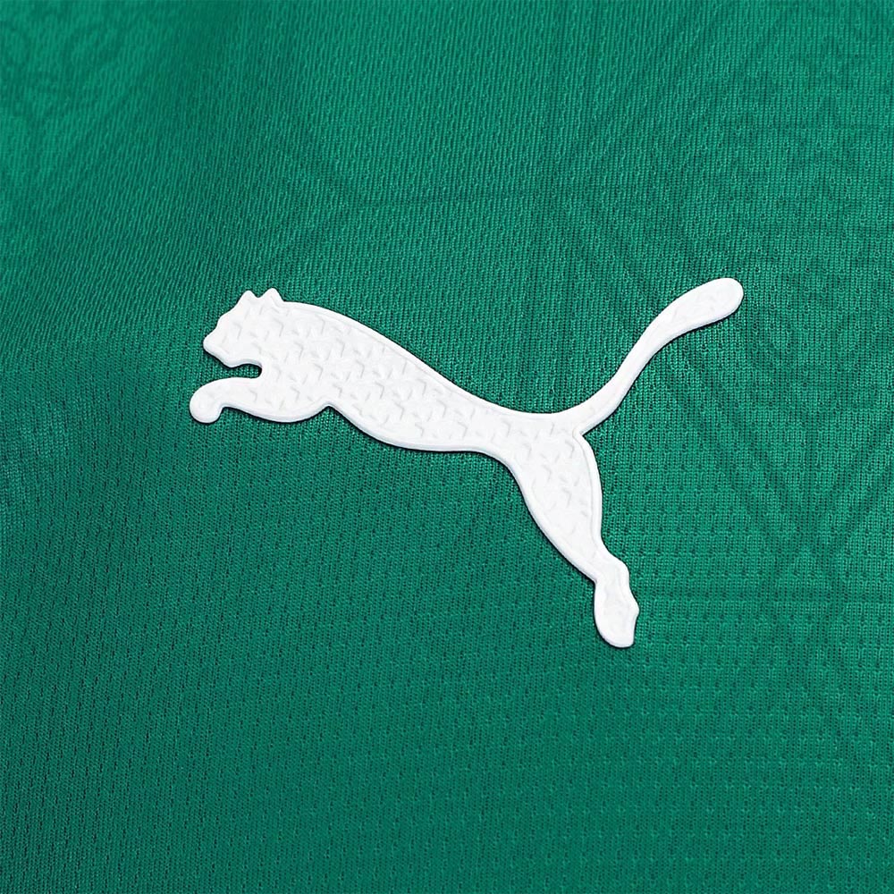 Camisa Palmeiras 1 2025 Feminina Dry Fit