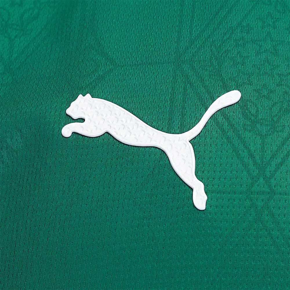 Camisa Palmeiras 1 2025 Feminina Dry Fit