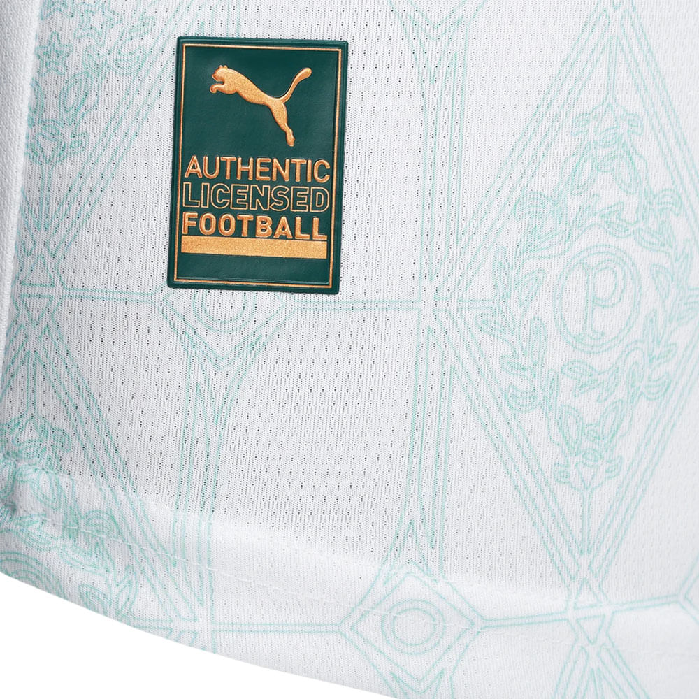 Camisa Palmeiras 2 2025 Masculina Dry Fit