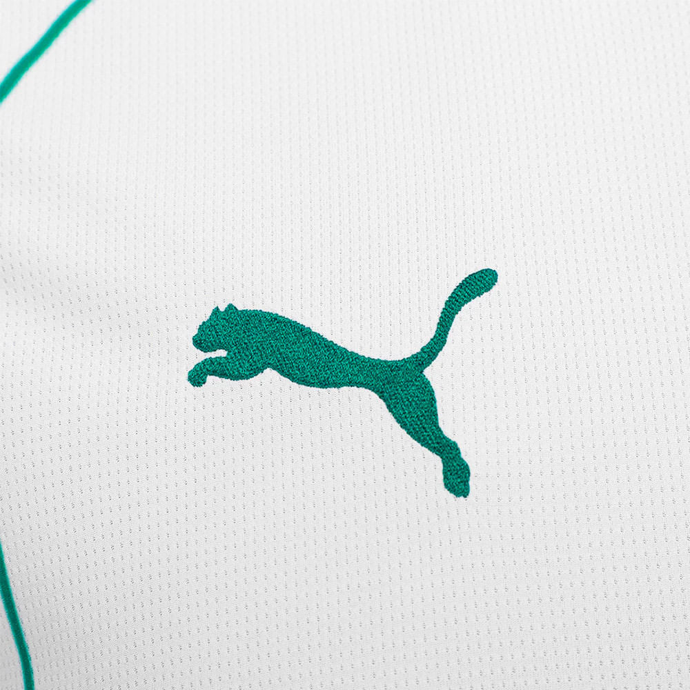 Camisa Palmeiras 2 2026 Masculina Dry Fit
