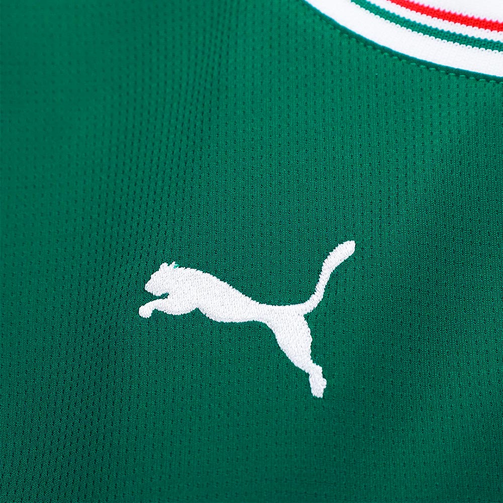 Camisa Palmeiras 1 2026 Feminina Dry Fit