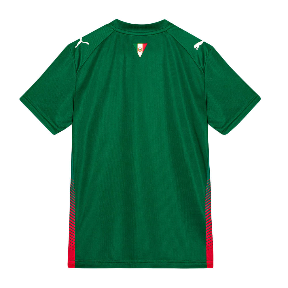 Camisa Palmeiras 1 2026 Infantil Dry Fit