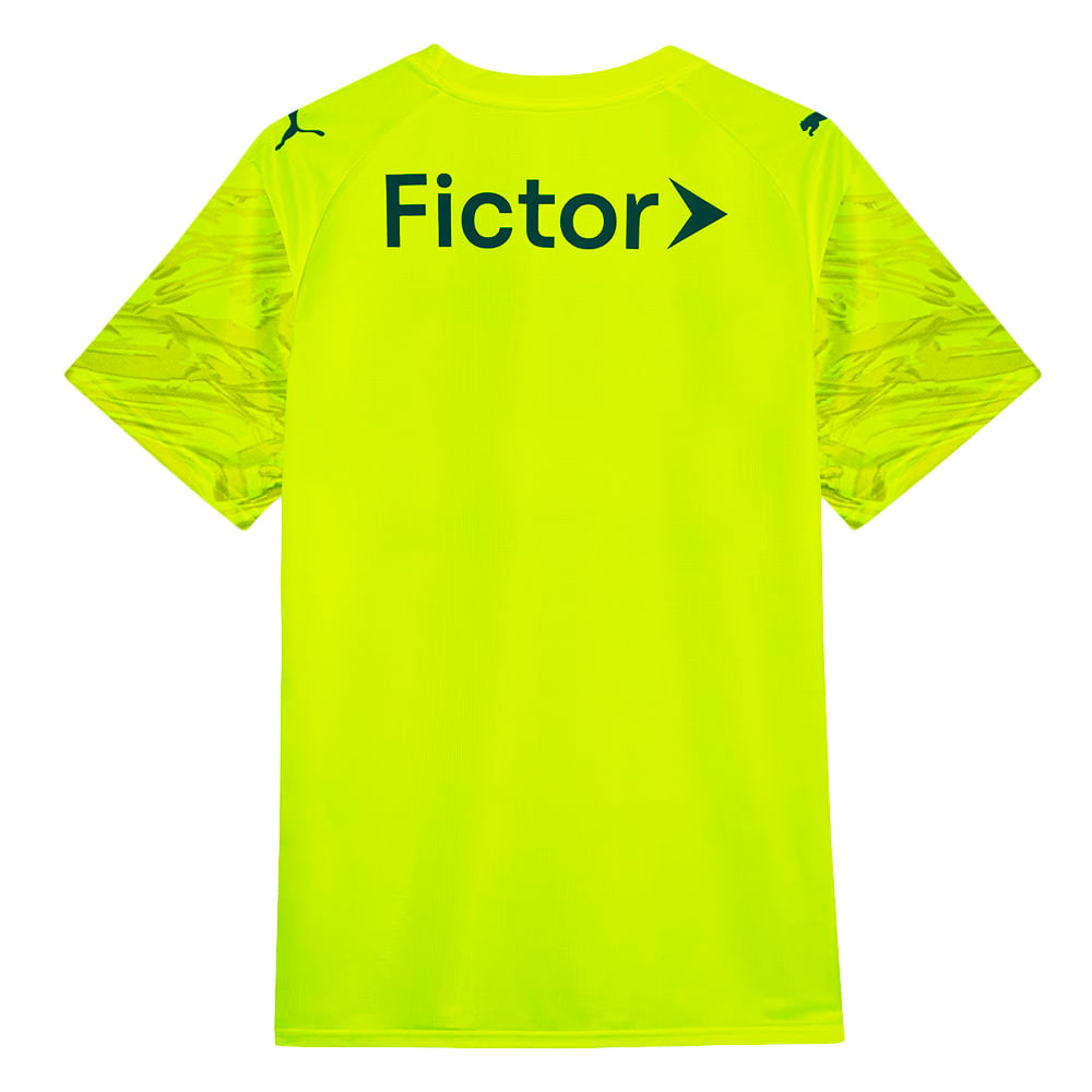 Camisa Palmeiras 3 Goleiro 2026 Masculina Dry Fit