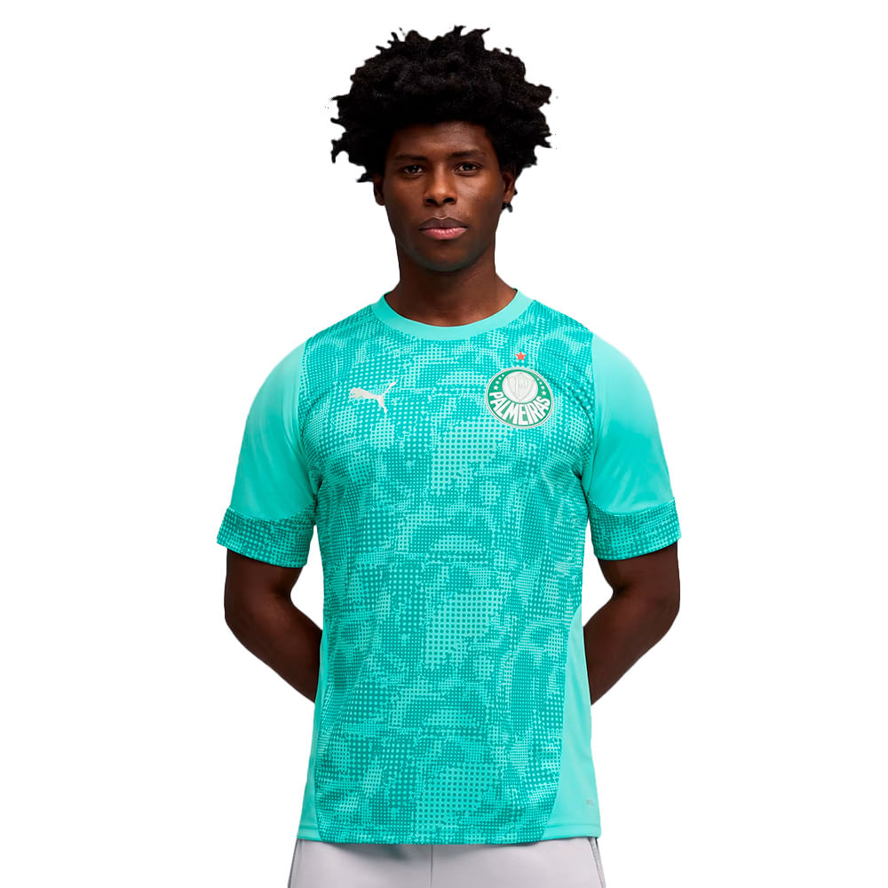 Camisa Palmeiras Treino 2026 Masculina Dry Fit