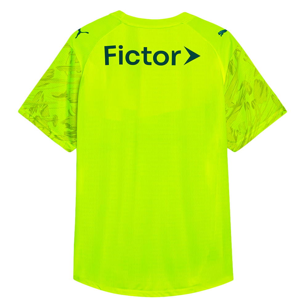 Camisa Palmeiras 3 Goleiro 2026 Masculina Dry Fit