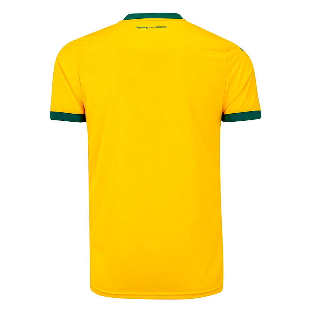 Camisa Palmeiras 3 2025 Masculina Dry Fit