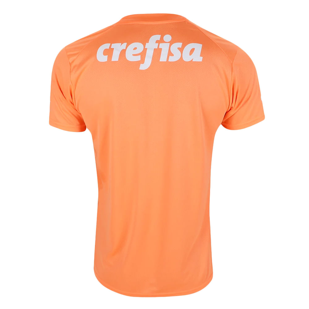 Camisa Palmeiras 3 Goleiro 2023 Masculina Dry Fit