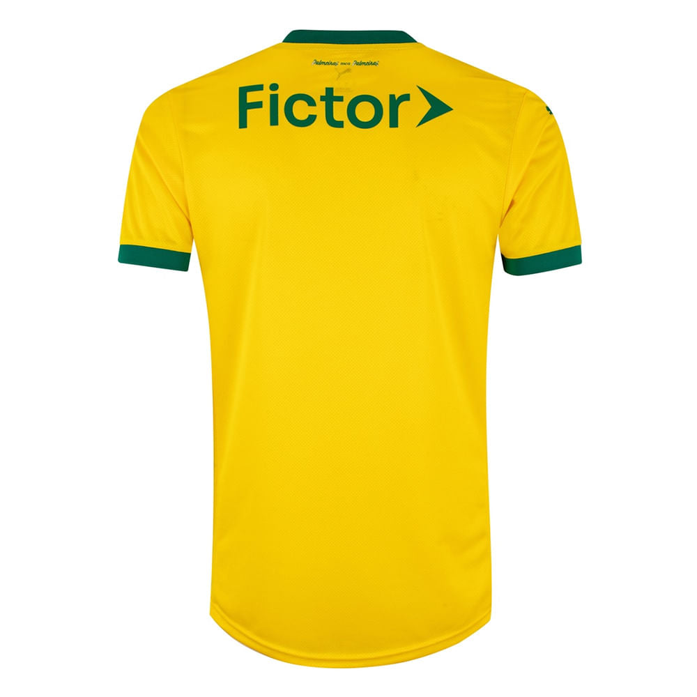 Camisa Palmeiras 3 2025 Masculina Dry Fit