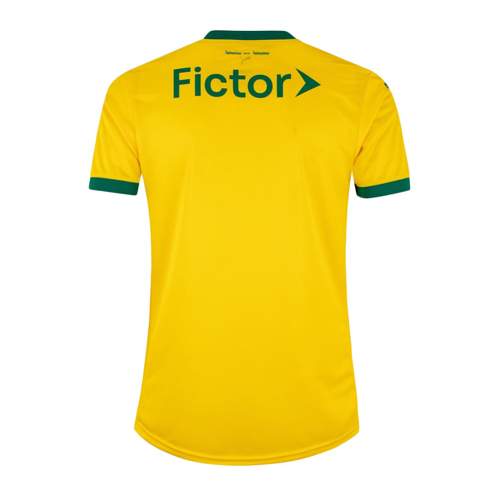 Camisa Palmeiras 3 2025 Feminina Dry Fit