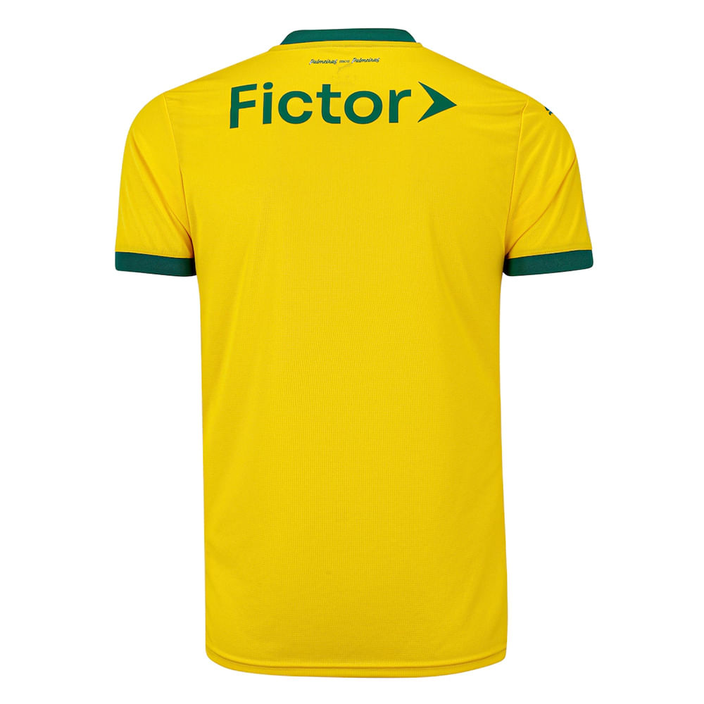 Camisa Palmeiras 3 2025 Masculina Dry Fit