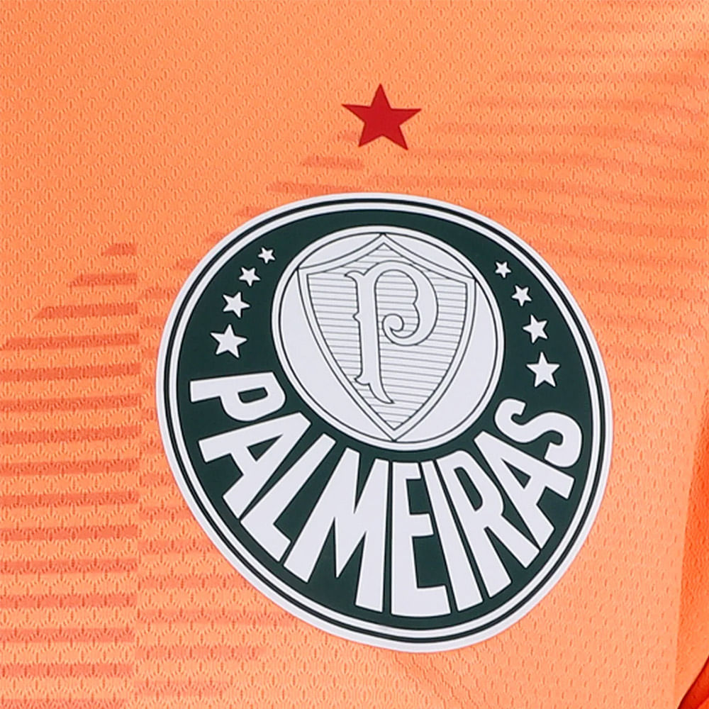 Camisa Palmeiras 3 Goleiro 2023 Masculina Dry Fit
