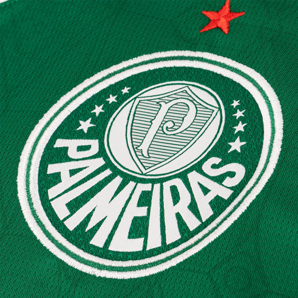 Camisa Palmeiras 1 2025 Masculina Dry Fit