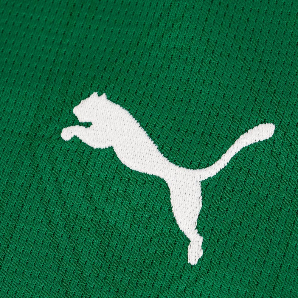 Camisa Palmeiras 1 2025 Feminina Dry Fit