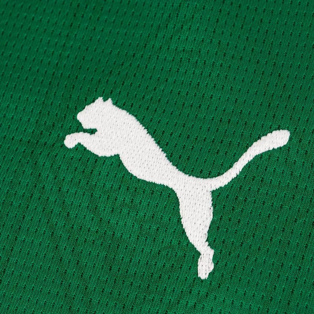 Camisa Palmeiras 1 2025 Feminina Dry Fit