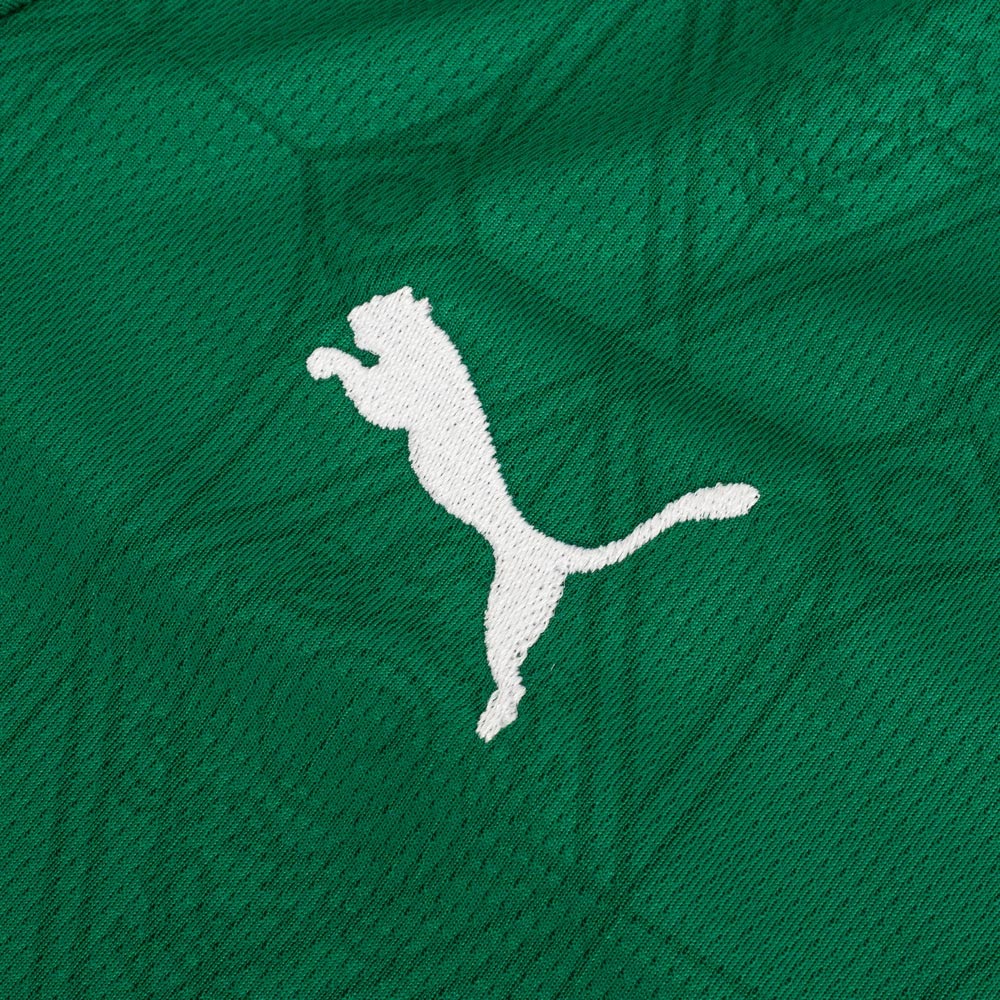 Camisa Palmeiras 1 2025 Infantil Dry Fit